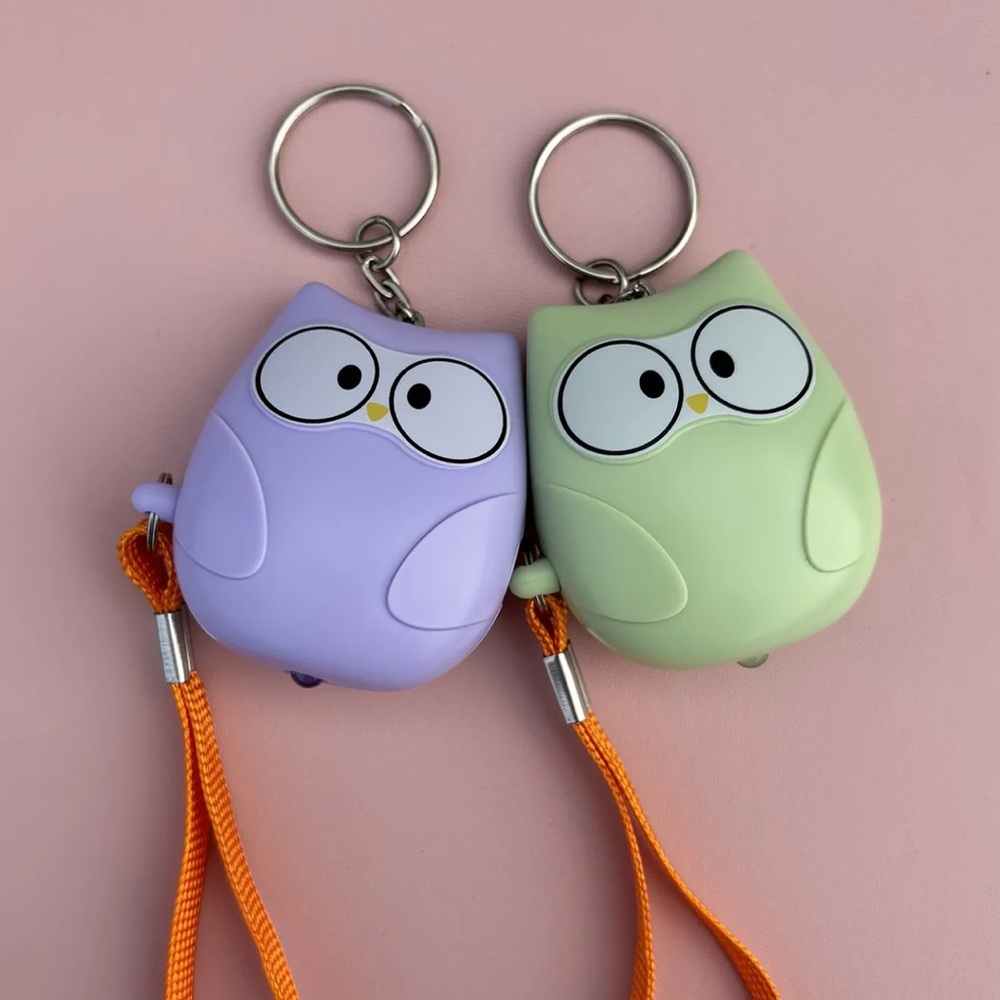 Cute Owl children saftey Keychain Set